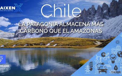 Chile | La patagonia almacena más carbono que el amazonas